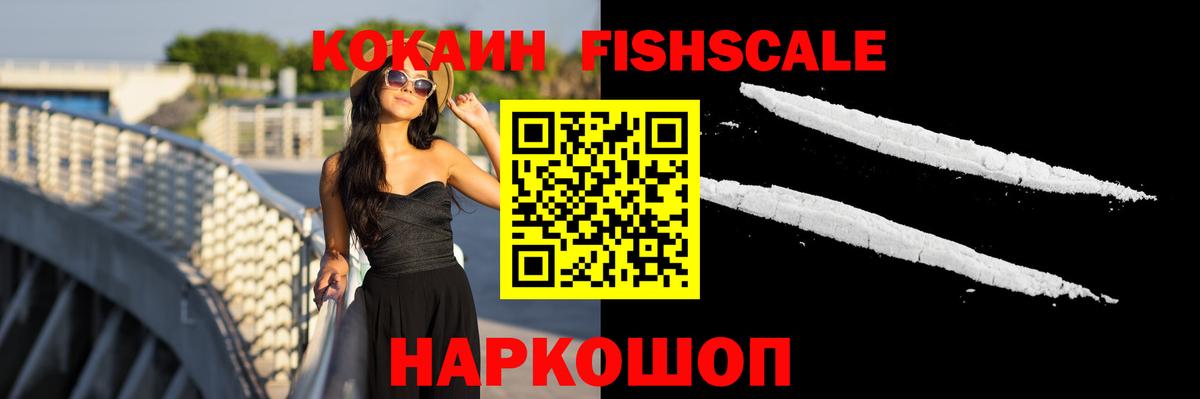 COCAIN Fish Scale  Вход с VPN  COCAIN  Дербент 