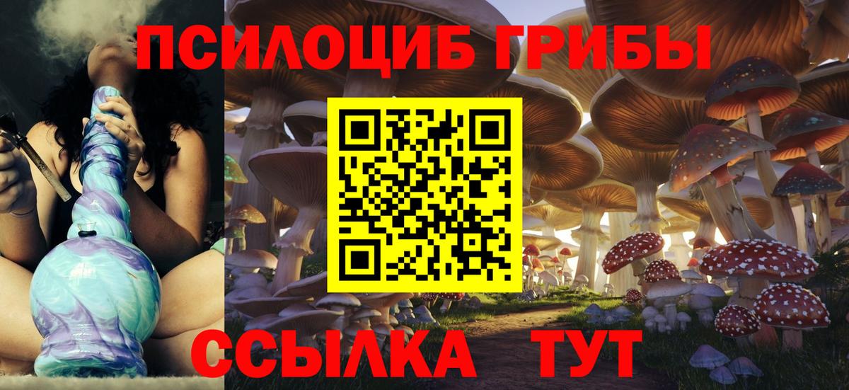 Псилоцибиновые грибы Psilocybine cubensis  Псилоцибиновые грибы Cubensis  Дербент  купить закладку  Вход с VPN 